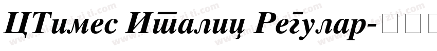 CTimes Italic Regular字体转换